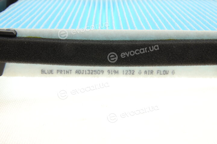 Blue Print ADJ132509