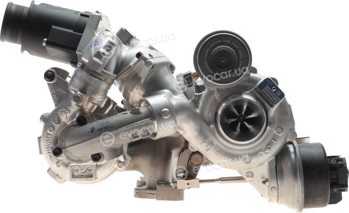 BorgWarner 10009880113