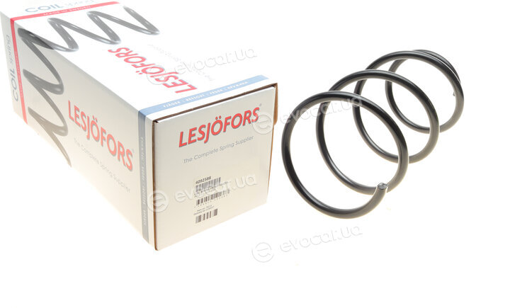 Lesjofors 4092588