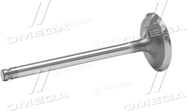 Gunes 6906