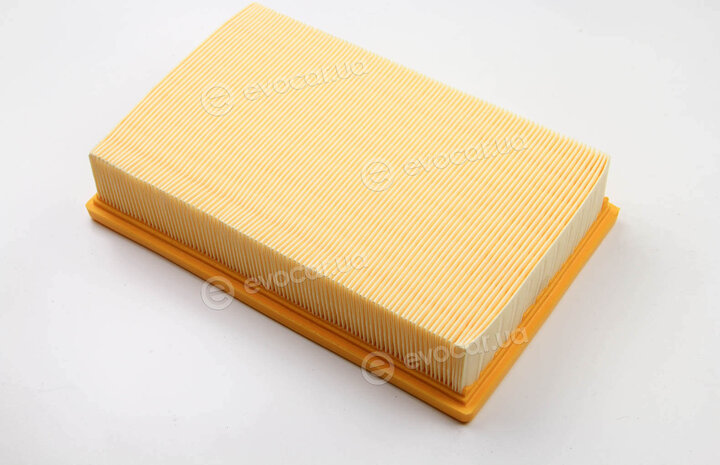 Asam 70295
