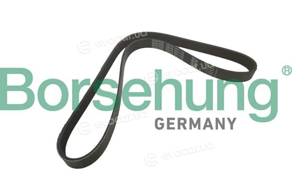 Borsehung B12356
