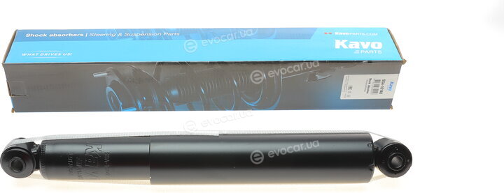 Kavo SSA-10148