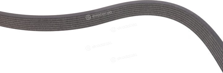 Dayco 7DPK2074