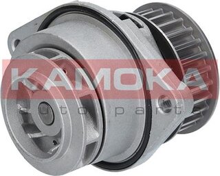 Kamoka T0024