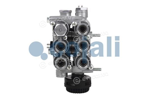Cojali 2209438