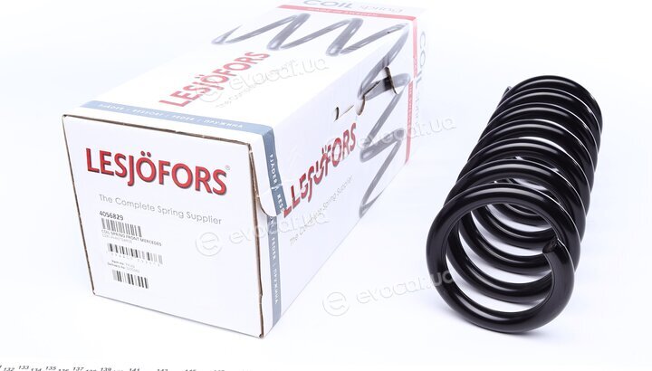Lesjofors 4056829