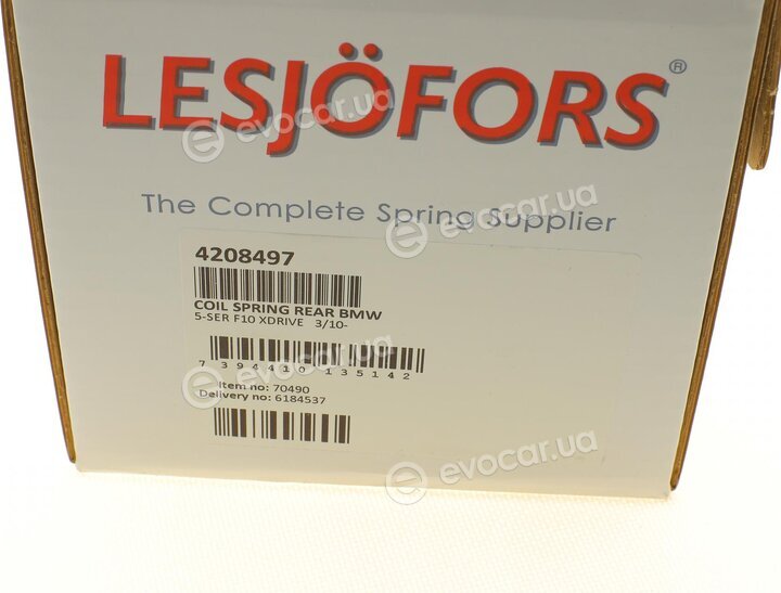 Lesjofors 4208497