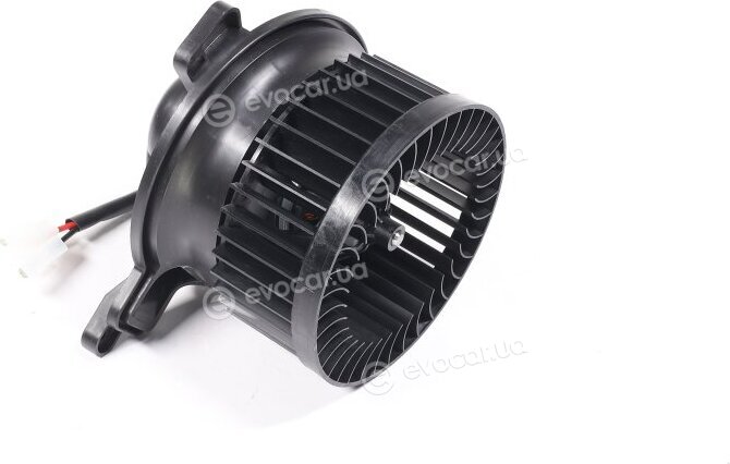Van Wezel 0903773