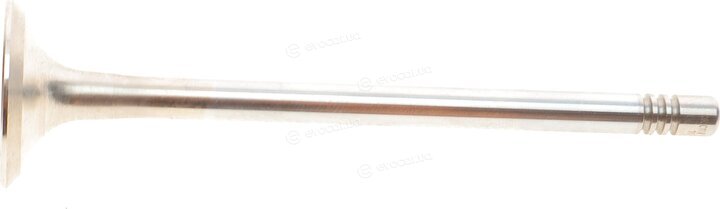 Borsehung B19005