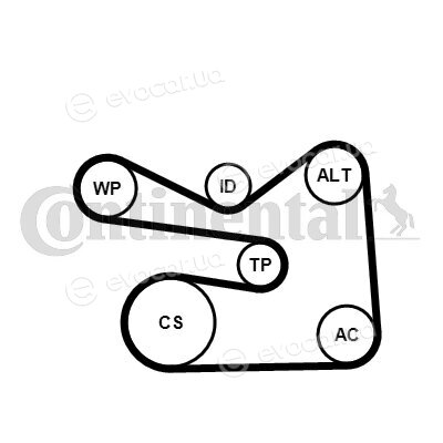 Continental 6PK1733WP2