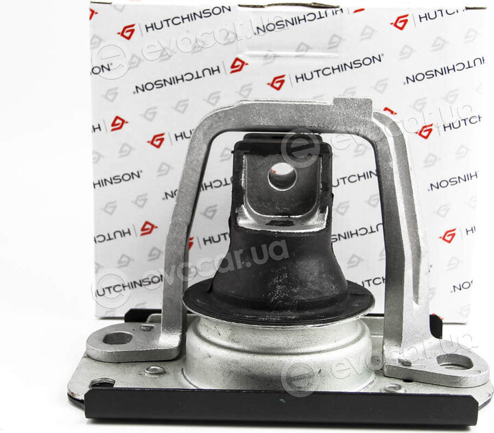 Hutchinson 594660