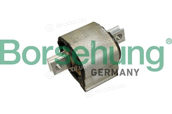 Borsehung B13079