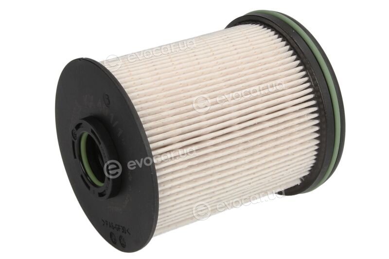 Mahle KX 491/1D