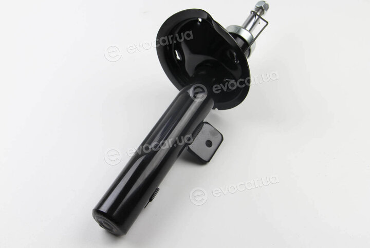 Asam 70397