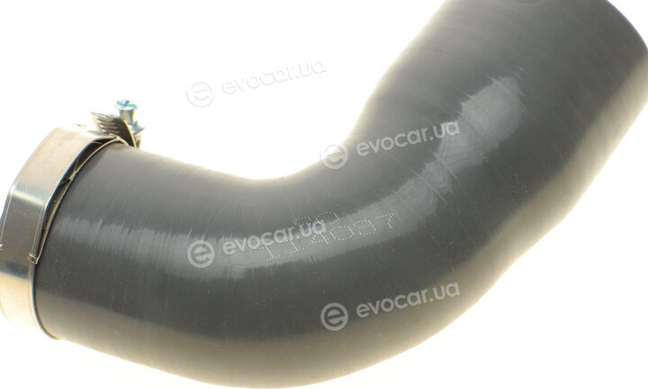 Solgy 114037