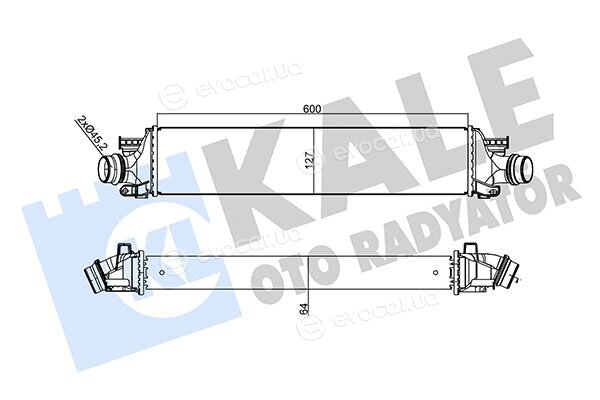 Kale 355940