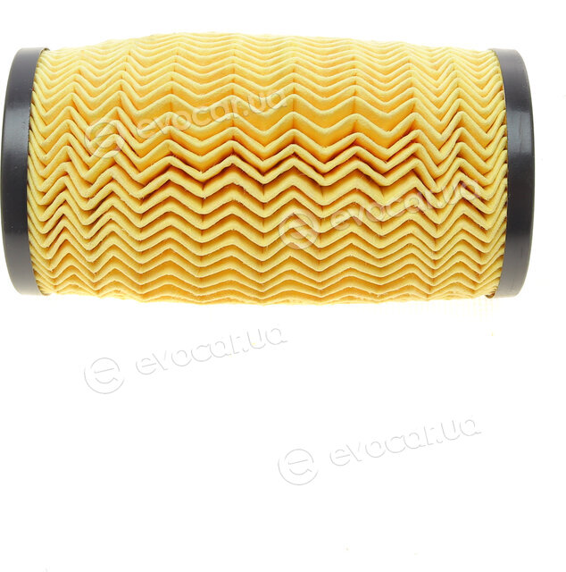 Purflux L1089