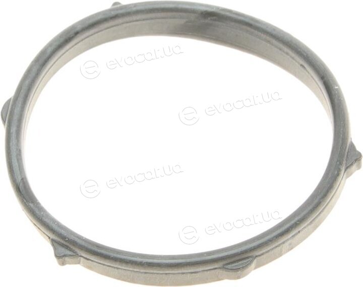 Elring 550.300