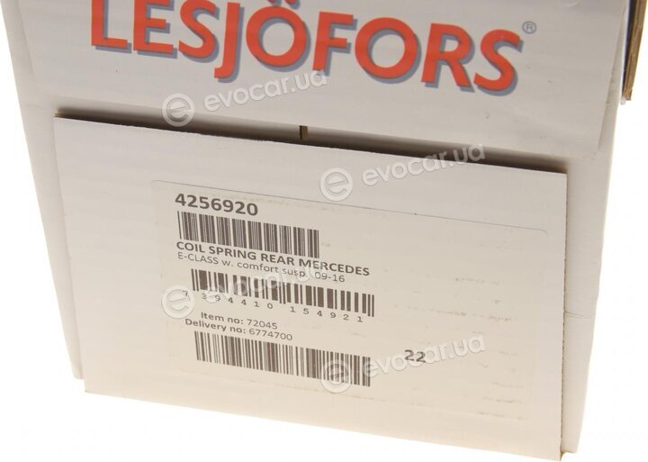 Lesjofors 4256920