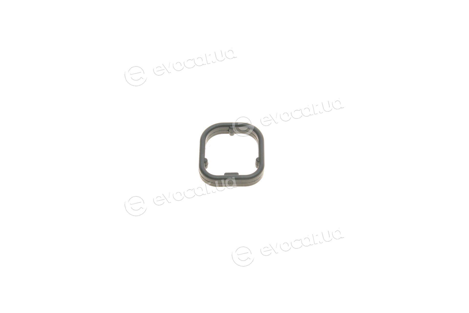 Van Wezel 06003556