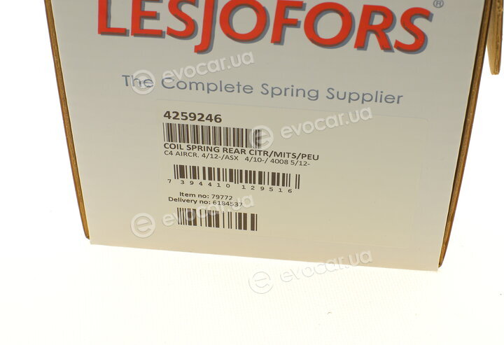 Lesjofors 4259246