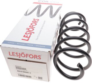Lesjofors 4095074