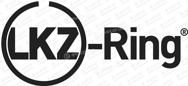Goetze 08-420900-00