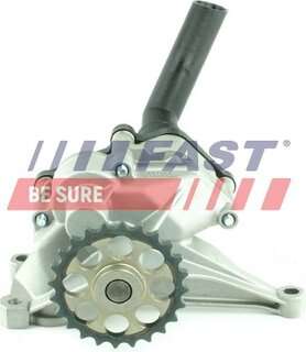 Fast FT38309