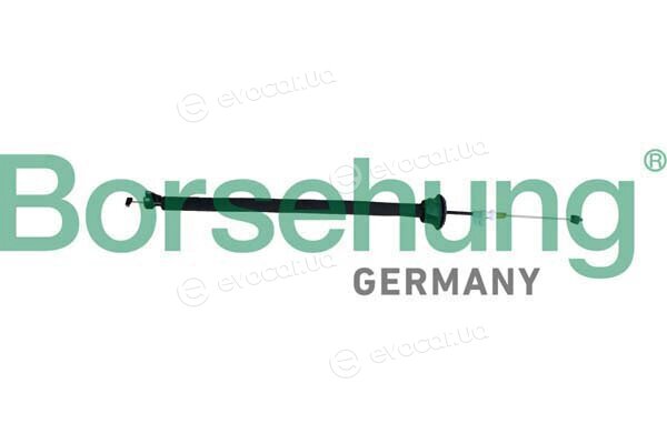 Borsehung B10791