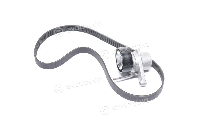 Gates K036PK1053