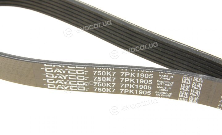 Dayco 7PK1905