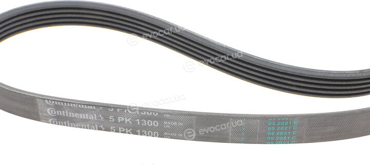 Continental 5PK1300
