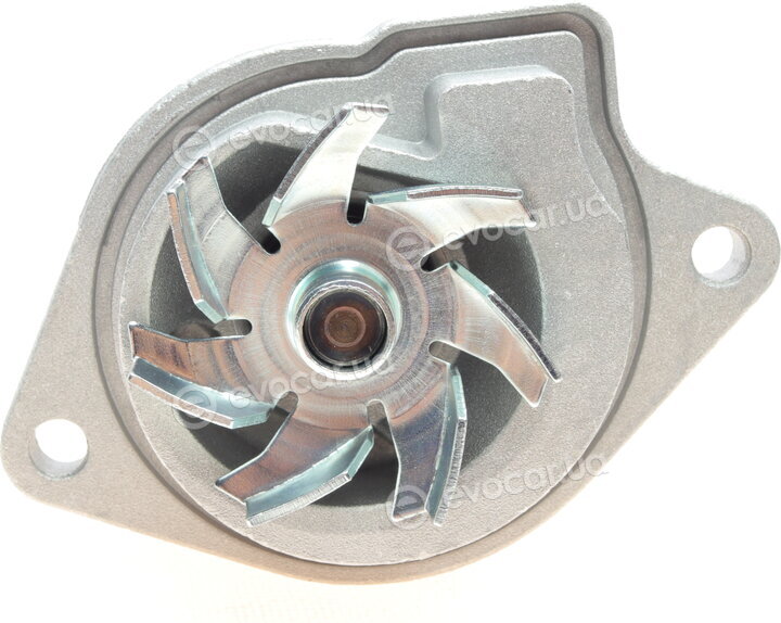 Continental CT957WP3