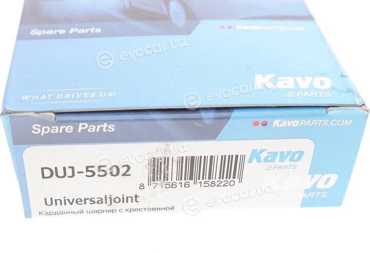 Kavo DUJ-5502
