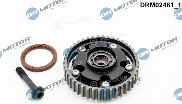 Dr. Motor DRM02481