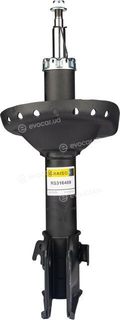 Raiso RS316469