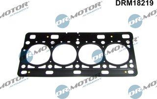 Dr. Motor DRM18219