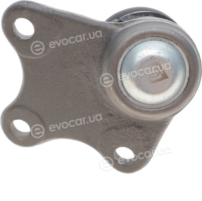 Solgy 203007