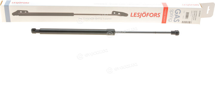 Lesjofors 8192569