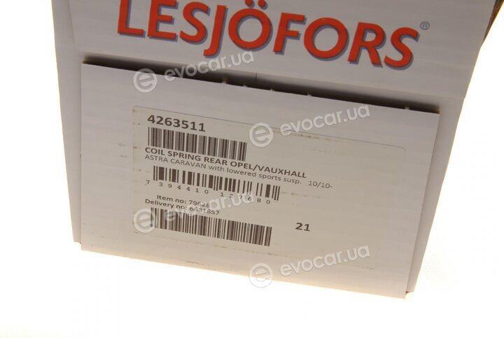 Lesjofors 4263511