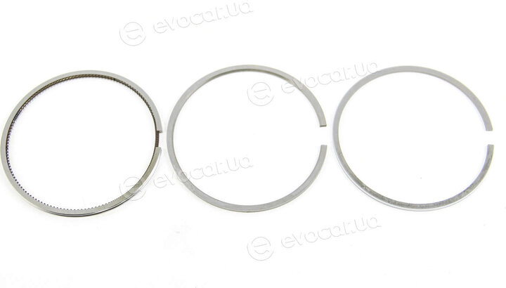 Mahle 029 55 N1