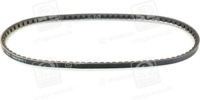 Continental AVX10X818