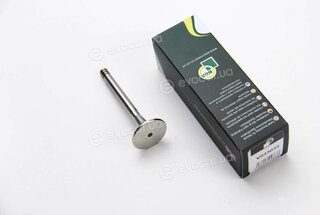 BGA V033035