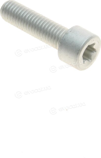 Solgy 216172