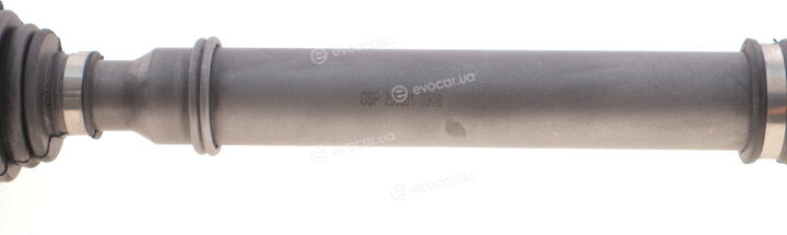 GSP 256581