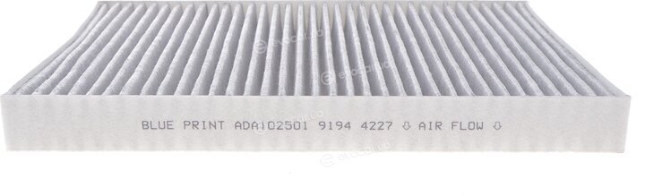 Blue Print ADA102501