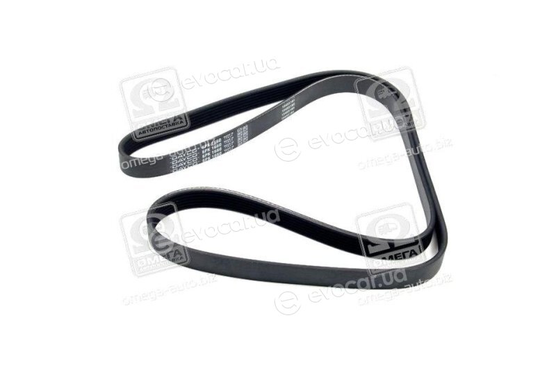 Dayco 6PK1660