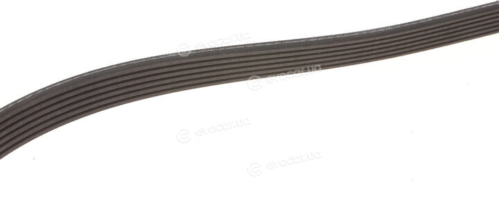 Gates 6PK1238