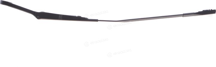 Solgy 307069